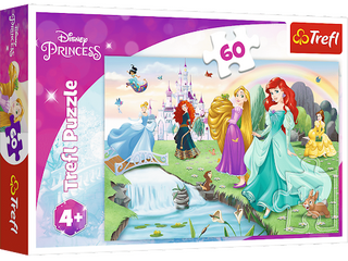 17361 Puzzles 60 Meet Princesses