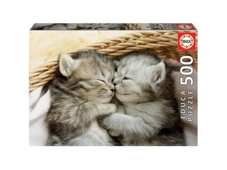 19004 Educa 500 Котята