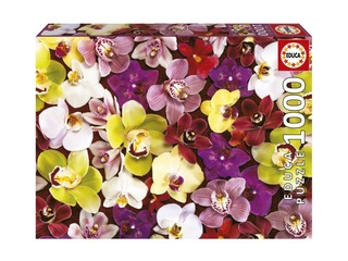 19558 Educa 1000 Orchid Collage