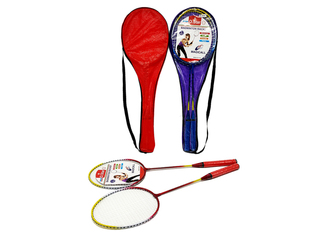 OP 201616167 Badminton
